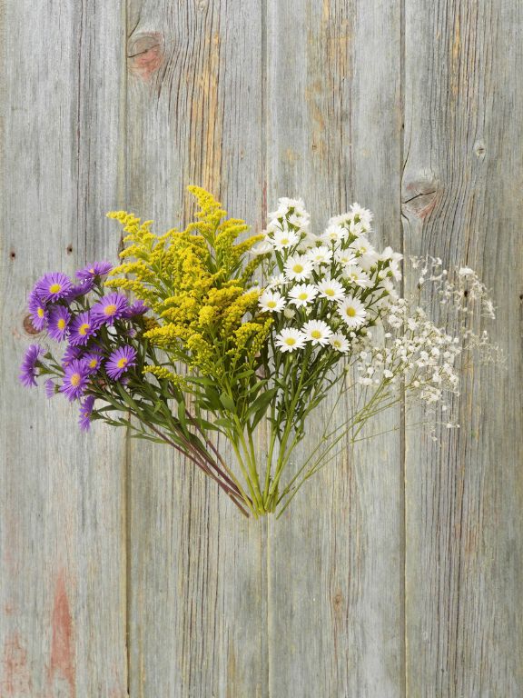 ECUADOR GROWN ASSORTED FLOWERS COMBO BOX GB2